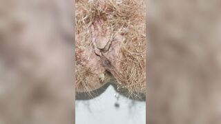 Unshaved Vagina Pissing ???? How to Urinate ???? Close Up ???? Pornhub Shorties