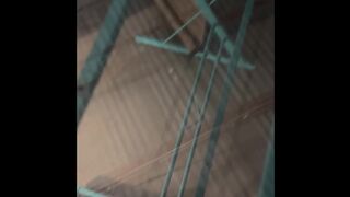 Dry Humping Desk In Storage Closet At Work Alone After Hours