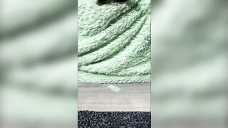 Place u face here I'll spit on it Lick my feet worm