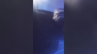 Hot college gal squeezing her bazookas.