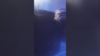 Hot college gal squeezing her bazookas.