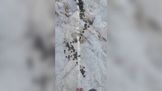 Beach Pissing