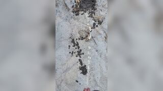 Beach Pissing