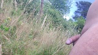 Pissing at the Lookout