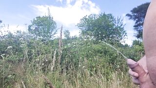 Pissing at the Lookout