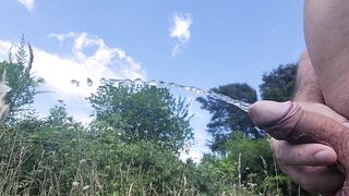 Pissing at the Lookout