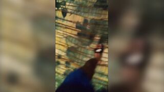 Failed Elevator, Close up