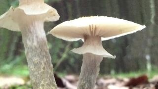 Excuse me just One Minute of your time ;)