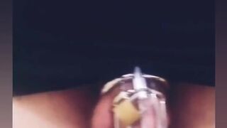 24/7 Caged cuck (mastix's say u can comment permission to cum if u're female...please!!!