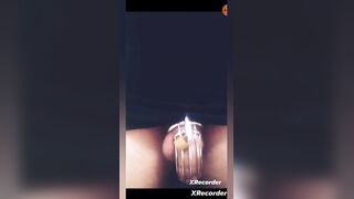 24/7 Caged cuck (mastix's say u can comment permission to cum if u're female...please!!!