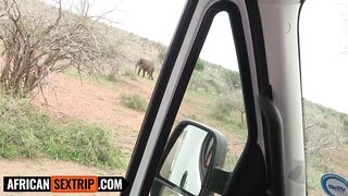 Hawt Natural Black Playgirl Unfathomable Mouths Biggest Jock Euro Tourist In Safari Journey