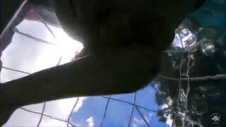 Swimming With a Mermaid