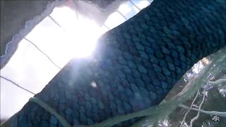 Swimming With a Mermaid