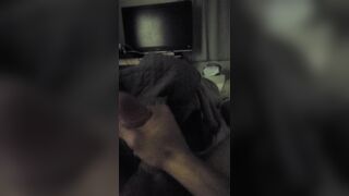 Would u let me breed u?