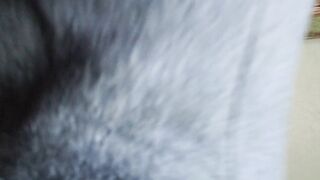 Ass crush by sammy senpai giantess