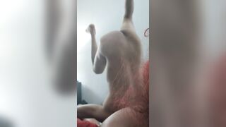 Oriental Hubby flashing limber penis (ha-ha-ha)
