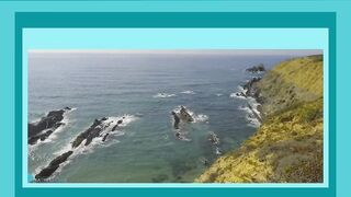 trailer: Alterinhos beach, review