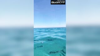 Clear Skys Blue Water With The Flawless Honey Cutie Youngs