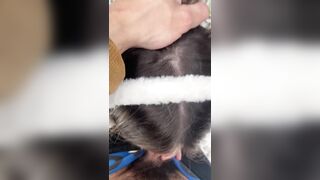 I provoke the tour coordinator and suck his knob in the snow