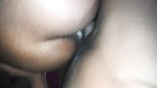 Back strok milk shack 2301301