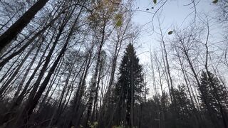 Charming hardcore masturbation in forest