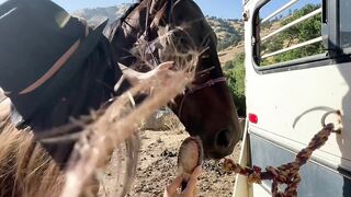 Magnificence aperture, I've a fantasy of Saving horses by sucking jock.