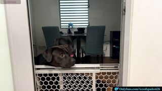 Giving him hard spanks across her lap that made him squeal