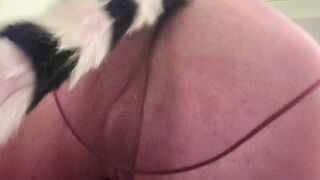 LyraLow Photo Collection to Jizz flow