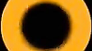 Twink flashes his large knob