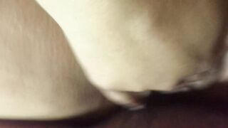 Neighbour groaning with Closeup cunt screw