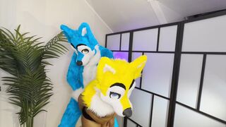 FURRIES IN HEAT MATING , CUM INSIDE
