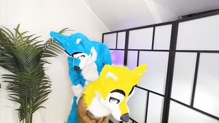 FURRIES IN HEAT MATING , CUM INSIDE