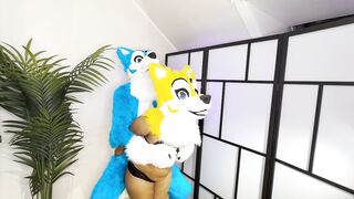 FURRIES IN HEAT MATING , CUM INSIDE