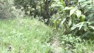 My breasty stepsister suggests me her mouth