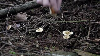 Wild Forest double penetration Screw Inked Hottie Outdoor