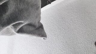 Coarse pegging session