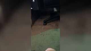 Just Edging my schlong so when I cum on your face it takes longer and covers u in my cum
