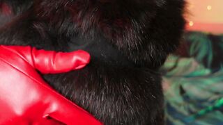 FURRY and lengthy red leather gloves ASMR episode close up