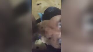 How delightsome is this