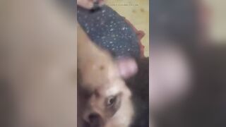 How delightsome is this