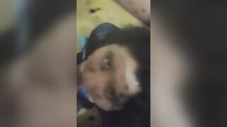 How delightsome is this