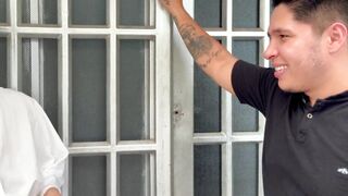 Whilst doing a market in the street, they unintentionally fell into our yards.