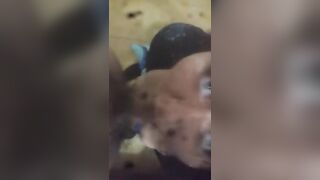 Sucking my Onichan's ramrod