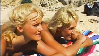 two Golden-haired and 1 Stud-horse at the beach