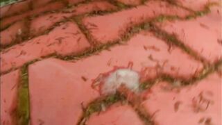 Butt Inner Lovers from EU -3some