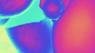 Large 12 inch HORSE JOCK creampies slaves booty and throat.