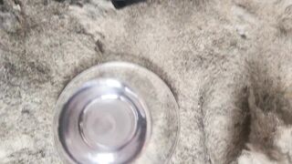 Pissing into naval decanter