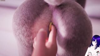 Judy Hopps The nice-looking post -office bunny was firmly drilled up