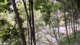 Walk in forest ended in a screw in the woods