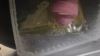 Pissing all over cheap kitchen cabinet door